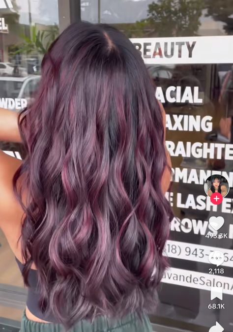 Balayage Hair Violet, Brown To Plum Ombre Hair, Brown Hair And Purple Highlights, Plum Brown Hair Color With Highlights, Plum Balayage Hair Brunettes, Brown And Plum Hair, Plum Hair Balayage, Brunette Hair Color Ideas For Summer, Purple Curly Hair Highlights