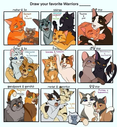 Fluffy Cat Drawing, Warriors Memes, Warrior Cats Fanart, Warrior Cats Ideas, Warrior Cats Funny, Cat Fanart, Warrior Cat Memes, Warrior Cat Art, Warrior Cats Comics