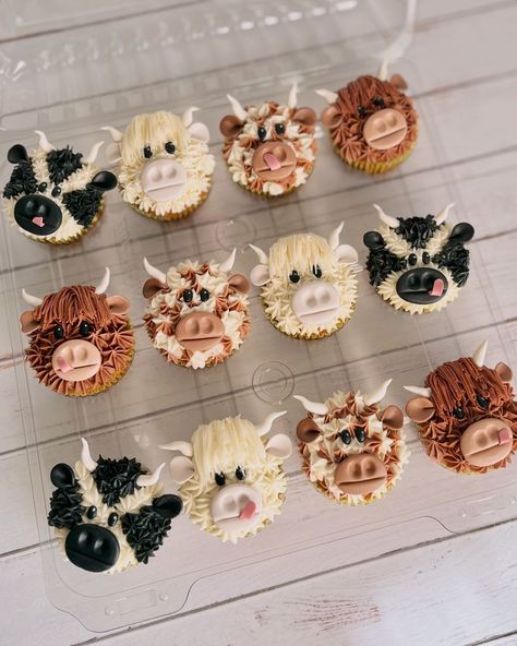 PIER’S BAKERY BY MARIANA PIER | CUPCAKES✨🐮🤎🖤🤍 | Instagram Pie Decorated Cupcakes, State Fair Cupcakes, Fair Themed Cupcakes, Fair Themed Cake, Cupcake Themes, Pie Decoration, Bakery Design Interior, Fair Projects, Bakery Design