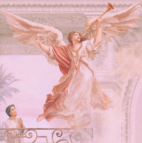 Pink Angel Aesthetic, Divine Aesthetic, Pink Angels, Future Pfp, Sisters Of Battle, Angel Trumpet, Angel Core, Baby Rose, Rosy Brown