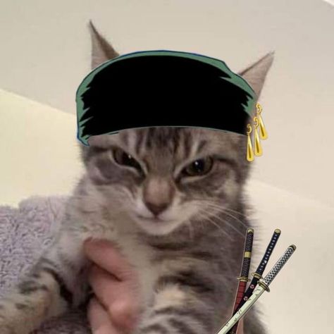 One Piece Pfp Icon, Zoro One Piece Pfp, Zoro Cat, One Piece Profile, Cool Pfps For Discord, One Piece Pfp, 4k Gaming Wallpaper, One Piece Aesthetic, Cat Yawning