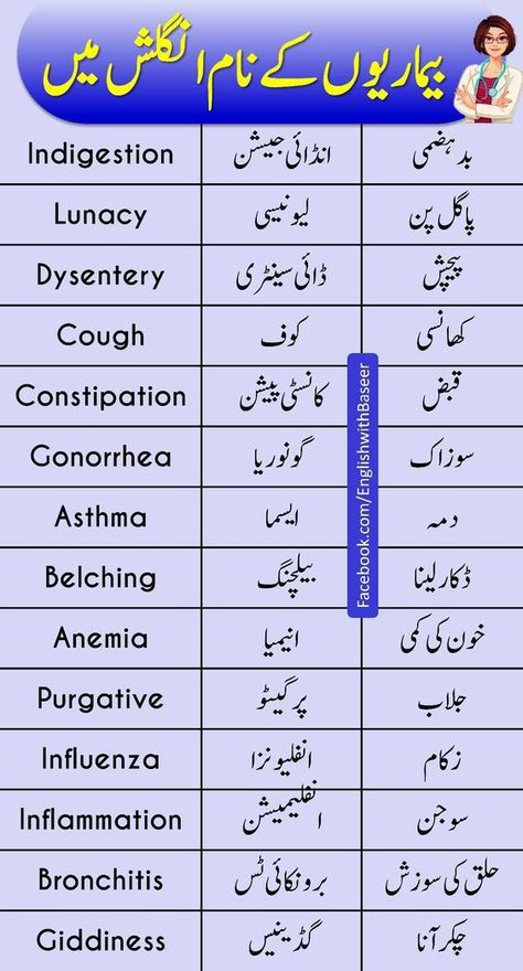 English To Urdu, Basic English Grammar Book, Simple English Sentences, Basic English Sentences, Common Diseases, English Phrases Sentences, English Transition Words, English Grammar Book, Basic English