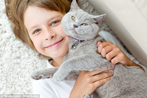 Exposure to pets and germs early in life, before asthma develops, has a preventive effect according to a new research (stock photo) Natural Asthma Remedies, Asthma Remedies, Allergic To Cats, Cat Seat, Lung Disease, Asthma Attacks, Cat Breed, Cat Shelter, Cat Adoption