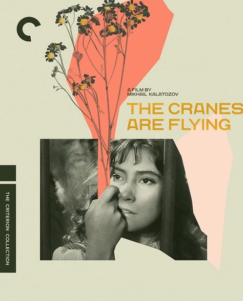 The Intricate Layers of The Cranes Are Flying, Captured in Collage The Cranes Are Flying, Criterion Collection, Handwritten Typography, The Criterion Collection, Movie Posters Design, Cover Image, New Edition, Source Of Inspiration, Art Director