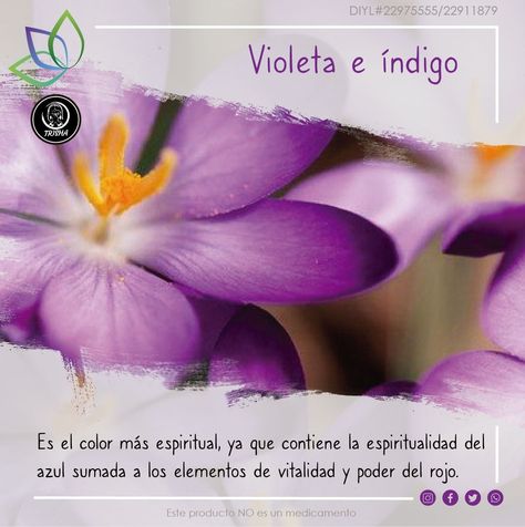 ¿Conoces el color de tu aura? Descubre que significa que tu color sea Violeta e Índigo 💜 #SomosEsencia #ExistencialEs #EssentialOils #Namaste #slplifestyle Namaste, Feng Shui, Aura, Color