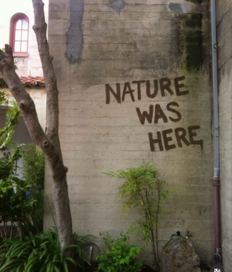 “Nature was here” spray painted on an abandoned building Protest Art, Amazing Animals, Street Art Graffiti, A Sign, Banksy, Graffiti Art, Urban Art, Good Vibes, Banks