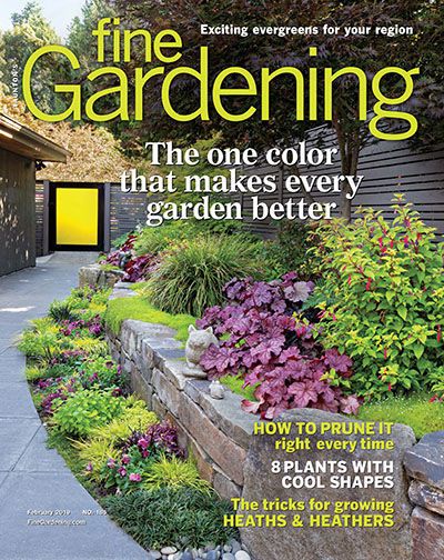 FineGardening - FineGardening Coraline's Dad, Plant Magazine, Full Sun Garden, Gardening Magazine, Fine Gardening Magazine, Winter Gardening, Beautiful Landscaping, Garden Magazine, Ground Covers