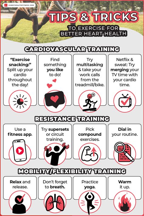 Exercise For Heart Health, Cardiovascular Exercises, Cardiovascular Fitness, Strengthen Heart Muscle, Heart Exercise At Home, Cardiovascular Health Tips, Improve Cardiovascular Health, Cardio For Heart Health, Heart Healthy Exercise