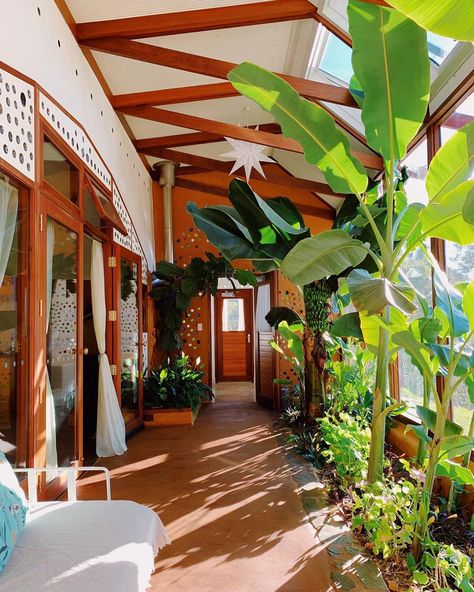 Holiday in South Australia on Instagram: “Earthship • Ironbank 〰️ Adelaide Hills What an entrance! The delightful greenhouse transforms your living room into a lush, tropical…” Earthship Biotecture, Earthship Home, Adelaide Hills, Cob House, Earth Homes, Energy Efficient Design, Natural Building, Earthship, Eco House