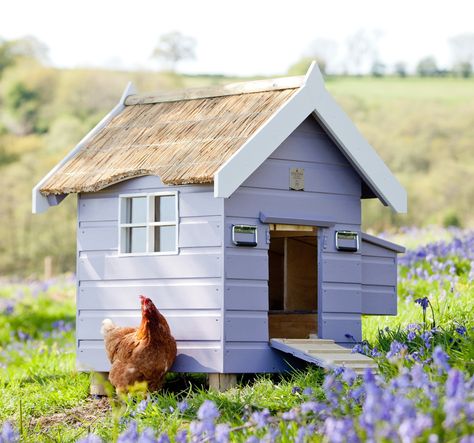 Chicken Coop Pallets, Cute Chicken Coops, Duck House, Chicken Garden, Keeping Chickens, Building A Chicken Coop, Recycled Pallet, Chicken Coop Plans, Backyard Chicken Coops