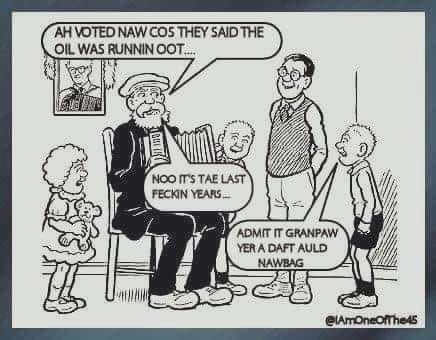 Oor Wullie, Celtic Nations, Scottish Independence, Celtic Heritage, Scotland, Gif, Comics, Memes, Funny