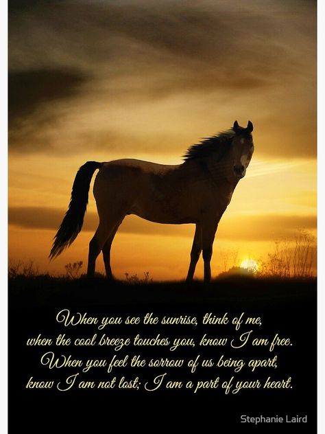 Horse Poems, Horse Memory, Spiritual Poems, Cowgirl Quote, Horse Rearing, Inspirational Horse Quotes, Equestrian Quotes, Horse Memorial, Cowgirl Quotes