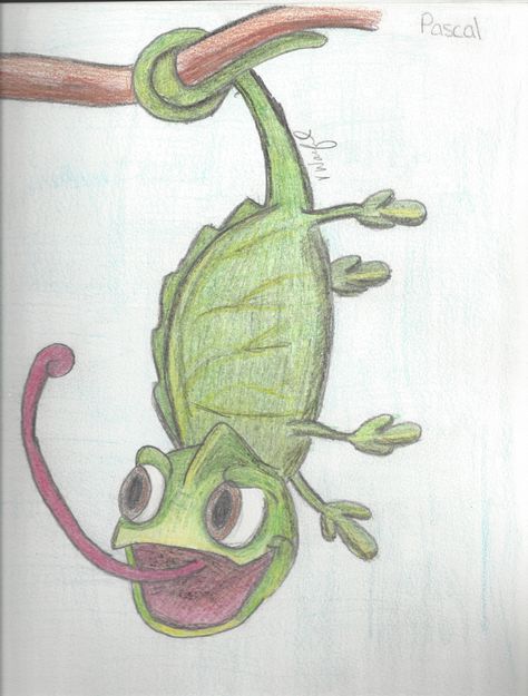 Pascal - Tangled colored pencil Pascal Tangled Drawing Easy, Tangled Drawing Ideas, Pascal Tangled Drawing, Pascal Drawing, Pascal Tangled, Drawing Stencils, Remembrance Tattoos, Disney Paintings, Disney Rapunzel