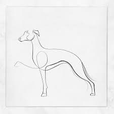 Whippet Tattoo, Whippet, Embroidery And Stitching, Inspirational Tattoos, Tatting, Art Drawings, Happy Birthday, Humanoid Sketch, Embroidery