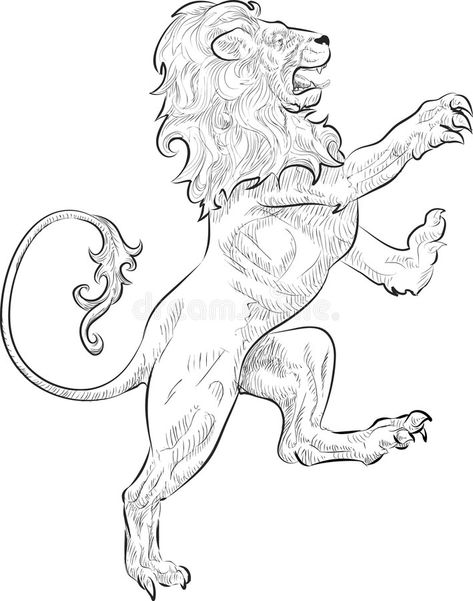 Rampant Lion. A vector illustration of a rampant (standing on hind legs) lion , #ad, #vector, #illustration, #Rampant, #Lion, #rampant #ad Full Body Lion Drawing, Leon Logo, Legs Drawing, Key Tattoo Designs, Lion Sketch, Fantastical Creatures, Lion Vector, Drawing Legs, Lion Illustration