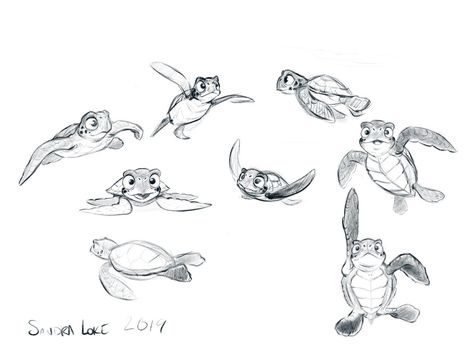 "Baby Sea turtle" by Sandra Loke Drawing Sea Turtles, Sea Turtle Drawing Sketches, Baby Turtle Drawing, Sea Turtles Drawing, Cute Sea Turtle Drawing, Disney Turtle, Sea Turtle Doodle, Turtle Anatomy Drawing, Turtle Reference