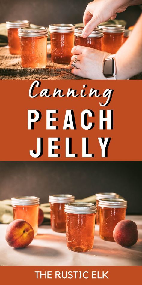 Dive into the world of homemade preserves with our perfect canning recipe. Unveil the delight of making peach jelly at home, using lush, fresh peaches, and a simple water bath. The aroma that fills your kitchen while canning will be enough to awaken your senses before you even taste the sweet, tangy treasure enclosed in each jar. Discover the joy of canning today! Ball Canning Peach Recipes, Peach Pit Jelly, Peach Peel Jelly, Peach Jelly From Pits And Skins, Peach Peel Jelly Recipe, Peach Jelly Recipe Canning, Homemade Peach Jelly, Peach Jelly Recipe, Canning Peaches Recipes