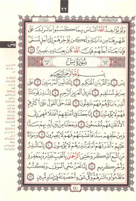 [PDF] Quran Surah 36 YaSeen (القرآن سورة يس) : https://al-asmaa-ul-husna.blogspot.com/ : Free Download, Borrow, and Streaming : Internet Archive Biology Facts, Quran Surah, Diy Calendar, Simple Mehndi, Learning Arabic, Abayas Fashion, Quran Verses, Quran Quotes, Mehndi Designs