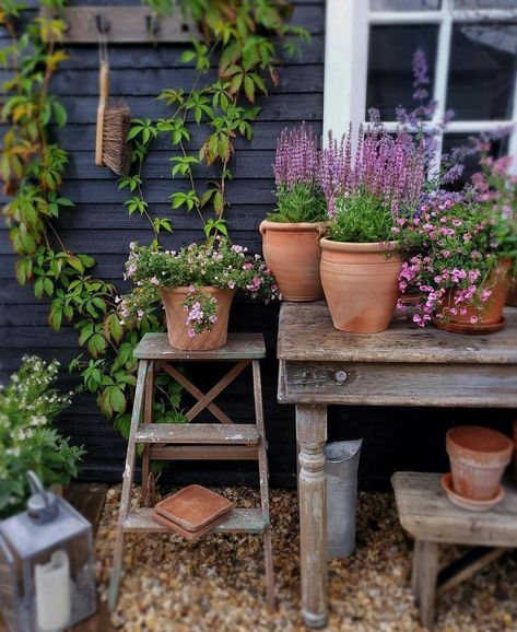 Small Magical Garden, Small Garden Ideas, Garden Junk, Farmhouse Garden, Charming Garden, Magical Garden, Courtyard Garden, Garden Lovers, Rustic Gardens