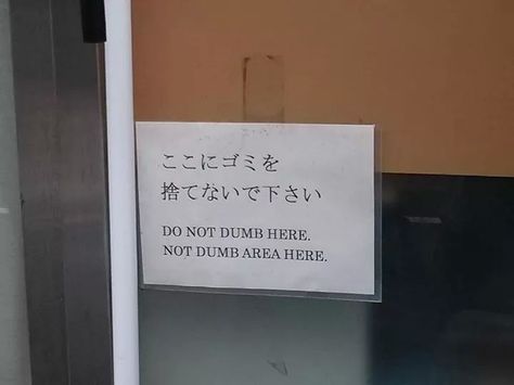 do not dumb here Translation Fail, Funny Translations, Bad Translations, Lost In Translation, It Goes On, Funny Signs, A Sign, Bones Funny, Funny Photos