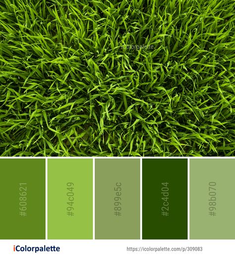 Color Palette ideas #icolorpalette #colors #inspiration #graphics #design #inspiration #beautiful #colorpalette #palettes #idea #color #colorful #colorscheme #colorinspiration #colorcombinations #colorcombos Grass Colour Palette, Meadow Color Palette, Green Palette, Wheat Grass, Family Images, Find Color, Colour Board, Color Pallets, Colour Palette