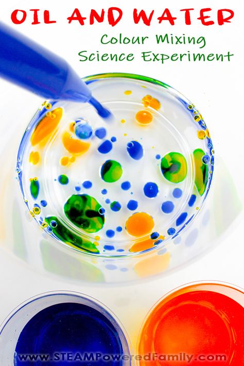 Why don't oil and water mix? It's a question kids love to explore! This easy experiment using simple supplies is a fun and colourful way to explore this science. The magic of colour mixing gives this experiment a special twist and wow factor. Plus the colour mixing provides greater understanding of the polarity differences between water and oil and how it affects their behaviour when they are mixed. #OilandWater #Science #WaterExperiment #Experiment #Elementary Preschool Oil And Water Experiment, Eyfs Colour Mixing Activities, Colour Mixing Eyfs Activities, Eyfs Experiments, Eyfs Colour Mixing, Water And Oil Experiment Kids, Eyfs Science Experiments, Colour Experiments For Kids, Eyfs Colour Activities