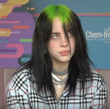 Billie Eilish Icons, Black And Green Hair, Dark Green Hair, Hair Icon, Beauty Shots, Roots Hair, Green Hair, Billie Eilish, Style Icon