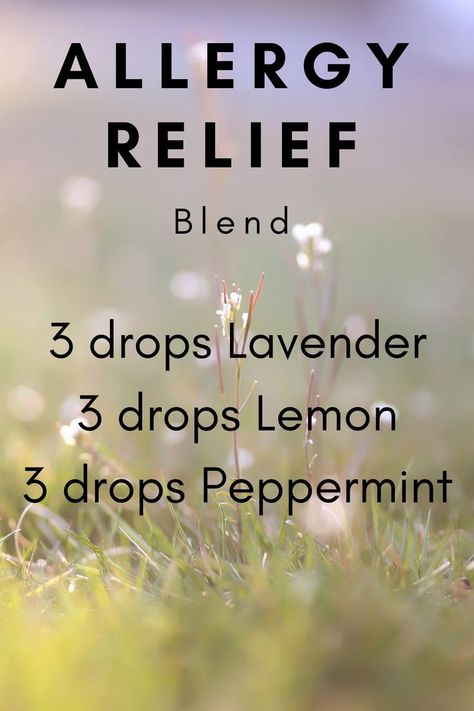 Allergy Diffuser Blend, Seasonal Allergy Relief, Essential Oils Allergies, Holistic Practices, Eo Blends, Essential Oil Perfumes Recipes, Roller Blends, Essential Oil Combinations, Essential Oil Diffuser Blends Recipes