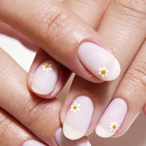 Chez Paints Nails on Instagram: "Delicate daisies inspired by @safinailstudio   •Using @the_gelbottle_inc Diana, Daisy and Butternut and finished with their Matte Topcoat.  Prepped using @navyprotools ✨   •Simple Nail Art" Dasie Flower Nails, Daisy Nail Art, Ring Finger Nails, Simple Nail Art, Finger Nail Art, Daisy Nails, Daisy Ring, Simple Nail, Easy Nail Art