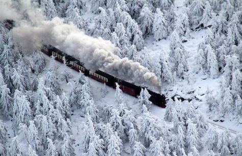 1st January 1905 - The Trans-Siberian Railway officially opens Trans Siberian Railway, Snowy Woods, Bungee Jumping, Pictures Of The Week, Snowy Mountains, Train Tracks, Train Rides, Train Travel, Let It Snow