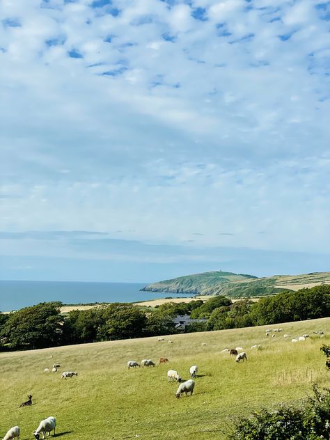 Farm By The Sea, Horse Yard, Ocean Cliff, Field Painting, Dream Property, Water Sea, Ocean Landscape, Cottage Life, Grass Field