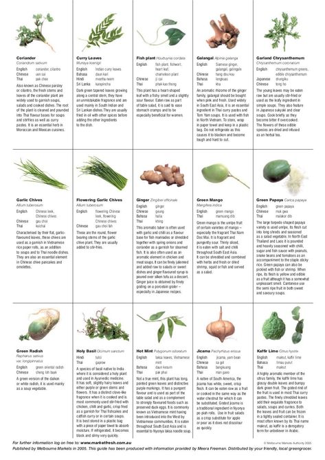 Growing Asian Vegetables & Herbs Organically ~ Geelong, Australia Asian Herbs, Geelong Australia, Herb Guide, Chinese Chives, Personal Garden, List Of Vegetables, Long Bean, Asian Vegetables, Garden Diary