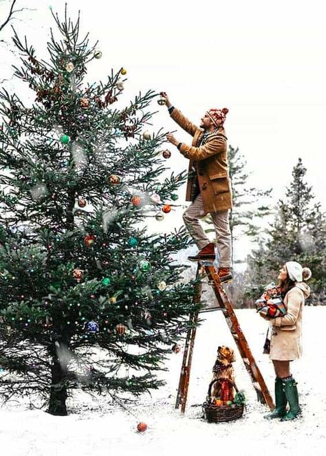 Nine Favorite Things. - Half Baked Harvest Winter Family Photography, Decorating A Christmas Tree, Sarah Vickers, Winter Family, Samos, Noel Christmas, Christmas Mood, Merry Little Christmas, Holidays Thanksgiving