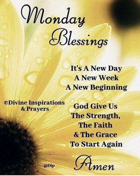 New Week Prayer, Monday Morning Greetings, Monday Morning Prayer, Divine Inspiration And Prayers, Marvelous Monday, Monday Morning Blessing, Good Morning Poems, Blessed Morning Quotes, Monday Prayer