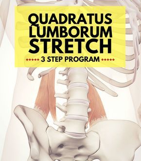 3 Step Quadratus Lumborum Stretch Program - What is a quadratus lumborum stretch and why it should be an important part of your training routine? Find out in this article: http://www.precisionmovement.coach/quadratus-lumborum-stretch-program/ @pmovementcoach #quadratuslumborumstretch #qlstretch #flexibilitytraining #spinemobility Quadratus Lumborum Stretch, Quadratus Lumborum, Psoas Release, Flexibility Training, Psoas Muscle, Mobility Exercises, Back Pain Exercises, Yoga Stretches, Yoga Sequences