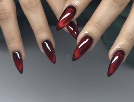 Black And Red Cats Eye Nails, Black And Red Stilletos Nails, Villan Era Nails, Villian Era Nails, Red Sharp Almond Nails, Red Cat Eye Stiletto Nails, Black And Red Chrome Nails, Vampy Nails Almond, Maneater Nails