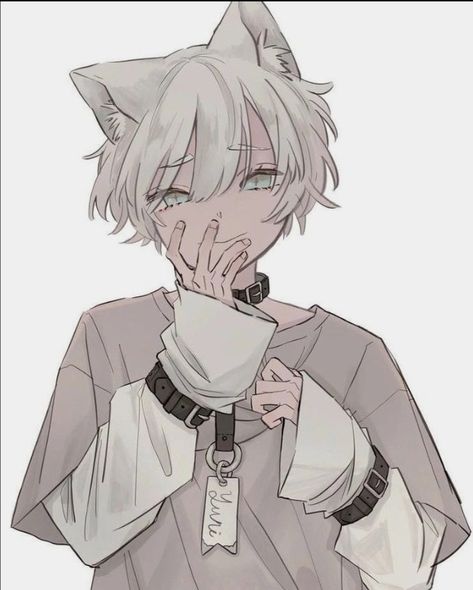 Anime Cat Boy, Neko Boy, Cat Boys, Anime People, Anime Cat, 영감을 주는 캐릭터, Boy Art, Cute Anime Guys