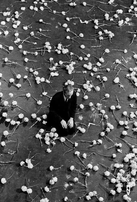 Pina Bausch, Dream Photography, Cinematic Photography, 인물 사진, White Photo, Pics Art, Photography Inspo, White Photography, Cinematography