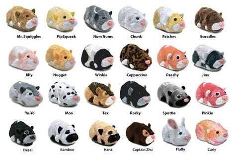 beaniebuddyhusky Zhu Zhu Pets, Cage Hamster, 2000s Toys, Zhu Zhu, Nostalgia 2000s, Nostalgic Pictures, Childhood Memories 2000, 2000s Nostalgia, Nostalgic Toys