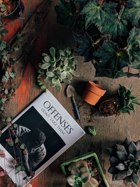 Herbals Aesthetic, Garden Flatlay, Plant Flatlay, Plant Instagram Post, House Plants Decor Living Room, Green Academia Aesthetic, Spices Photography, Gardening Photography, Plant Goals