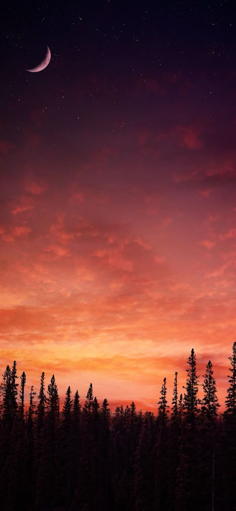 Evening Wallpaper Sunset Phone Background, Spooky Moon Wallpaper, Summer Evening Wallpaper, Fall Sky Wallpaper, Fall Moon Wallpaper, Autumn Moon Wallpaper, Fall Sunset Wallpaper, Warm Aesthetic Wallpaper, Evening Sky Wallpaper