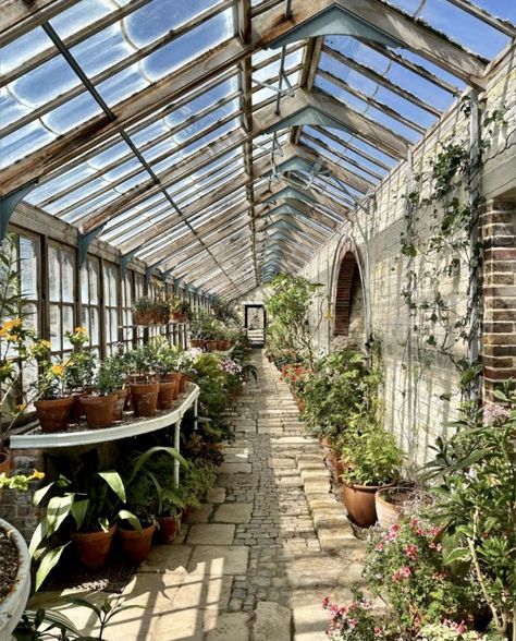 Martin Brudnizki, Dream Backyard Garden, Earthship Home, Greenhouse Interiors, Home Greenhouse, Hot House, Backyard Greenhouse, Greenhouse Ideas, Green Houses