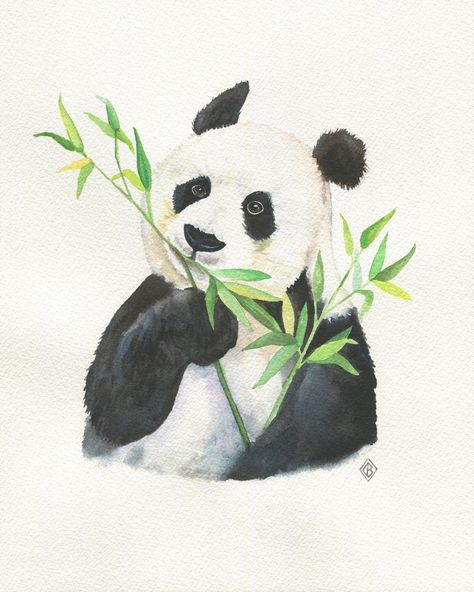 Panda eating bamboo original watercolor painting - kids wall art, Chinese watercolor wall artwork, jungle animal illustration Panda Eating Bamboo, Jungle Drawing, Panda Eating, Panda Artwork, رسم كاريكاتير, Watercolour Animals, Panda Painting, Chinese Watercolor, Photo Png