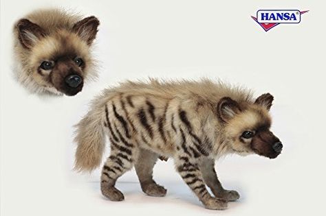 Hyena Plush, Omnivorous Animals, Striped Hyena, Group Name, Run Fast, Pointed Ears, 5 Babies, Dark Eyes, Cute Stuffed Animals