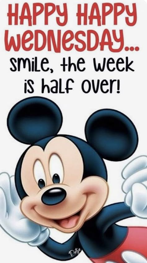 Good Morning Happy Hump Day Wednesday, Happy Week Days, Good Morning Days Of The Week, Wendsday Happy, Happy Wednesday Morning Quotes, Wednesday Humor Good Morning, Wednesday Humor Good Morning Funny, Wednesday Morning Humor, Funny Good Morning Images Smile