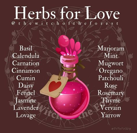 Herbs For Love, Herbs For Protection, Essential Oil Aphrodisiac, Magick Oil, Candle Magic Spells, Kitchen Witch Recipes, Easy Love Spells, Magickal Herbs, Witch Herbs