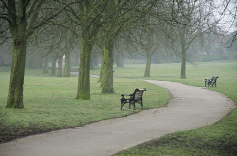 Landscape References, Advanced Higher Art, Park Benches, Park Hill, Park Landscape, Hill Park, Train Ride, Film Inspiration, Park Photos