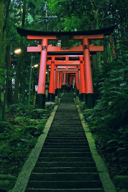 Fushimi Inari-taisha | steven | Flickr Beautiful Places In Japan, Fushimi Inari Taisha, Fushimi Inari, Japan Landscape, Japan Architecture, Japan Photography, Japon Illustration, Japan Aesthetic, Aesthetic Japan