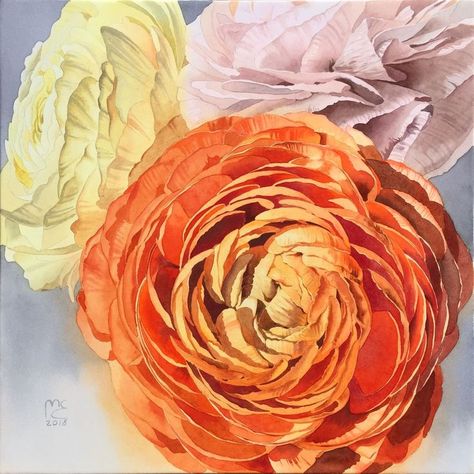 Ranunculus Painting, Orange Ranunculus, Aquarelle Painting, Graphic Drawing, Ranunculus Flowers, Illustration Creative, Cut Flower Garden, Watercolor Flowers Paintings, Botanical Painting