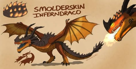 Httyd Fan Made Dragons, Httyd Oc Dragon, Httyd Dragons Oc, Httyd Oc, The Outcast, Cute Dragon Drawing, Httyd Art, Httyd Dragons, Cool Dragons